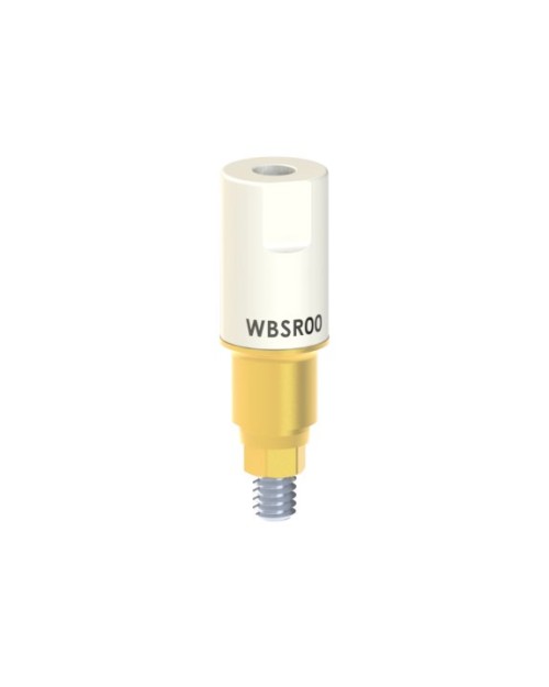 Scan Abutment Compatible With Megagen® Anyridge®
