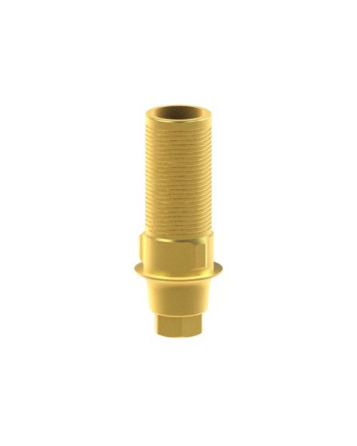 Custom Ti-Base Compatible With Megagen® Anyridge®